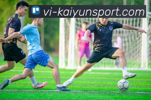 开云足球APP 封面图